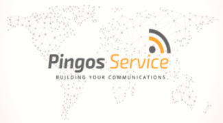 Pingos Service Logo from Portugal using digital forms