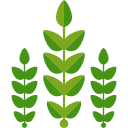 Digitization in the agriculture industry