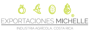 logo michelle Costa rica