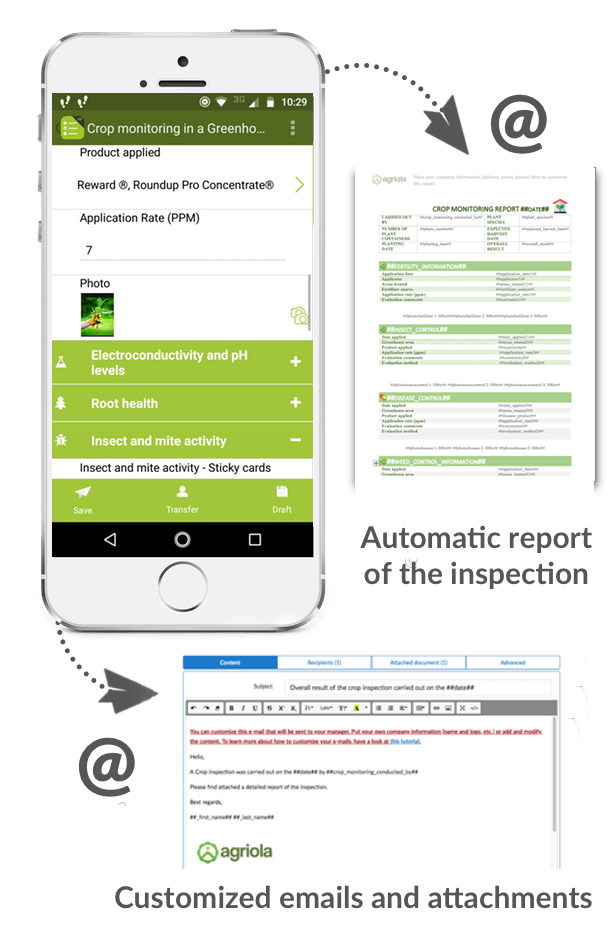crop-monitoring-report-form
