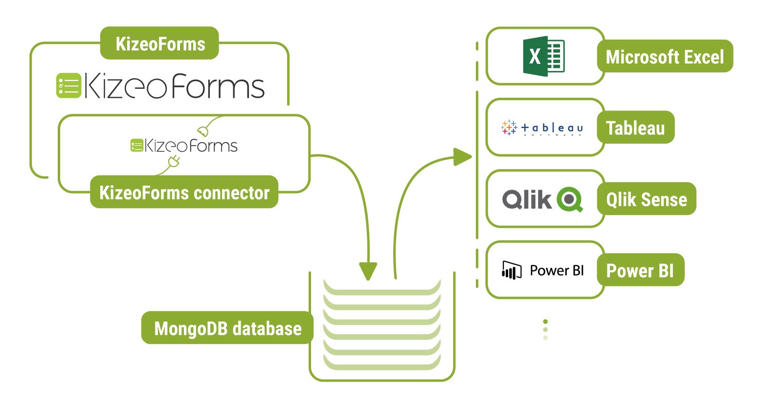 Kizeo Forms BI Connector