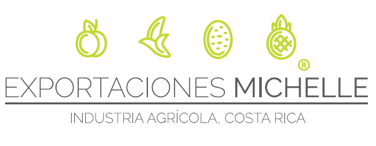 Logo compañía Michelle Costa Rica