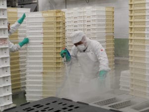 estandarización de procesos de higiene alimentaria