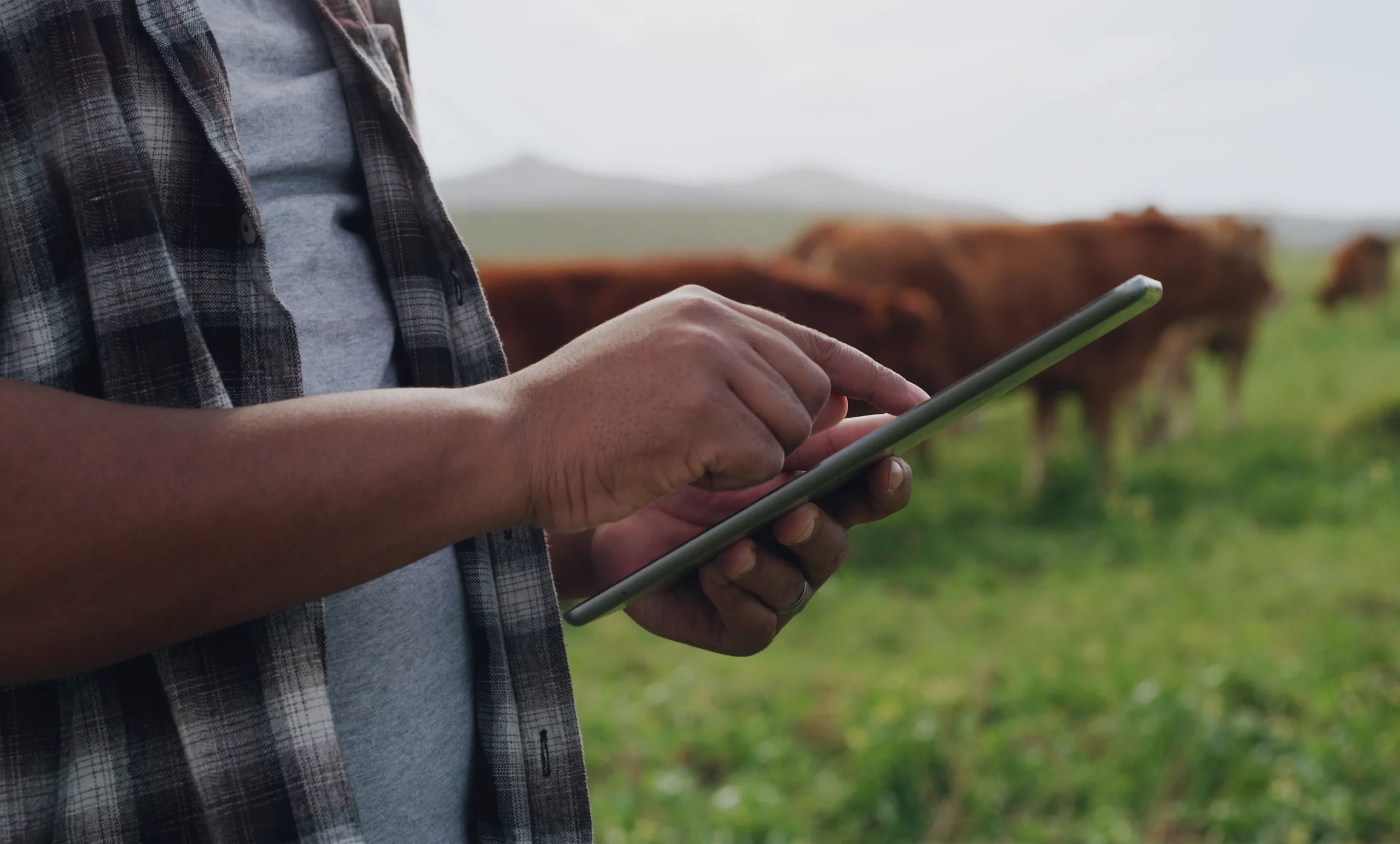 Kizeo Forms  Logiciel de gestion du secteur agricole