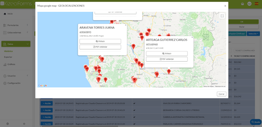 análisis de ruta en la plataforma kizeo forms